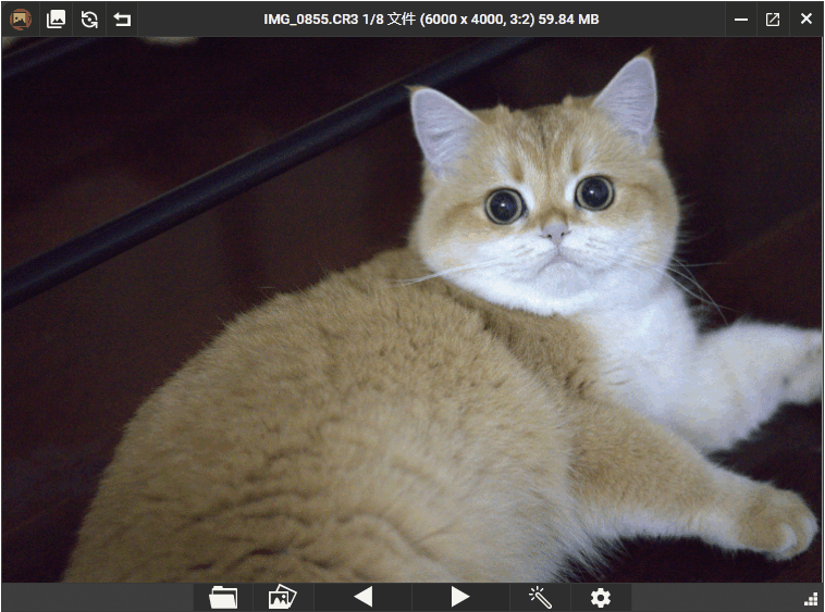 PicView看图工具v4.1.0绿色版