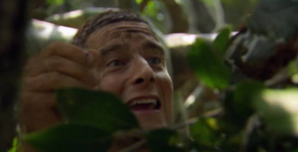 国外贝爷的、荒野求生全系列