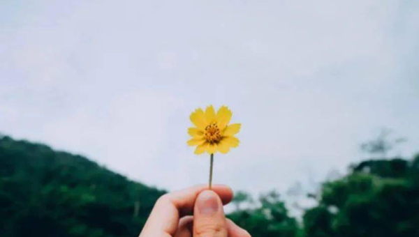 天秤座的人在感情中专情吗?