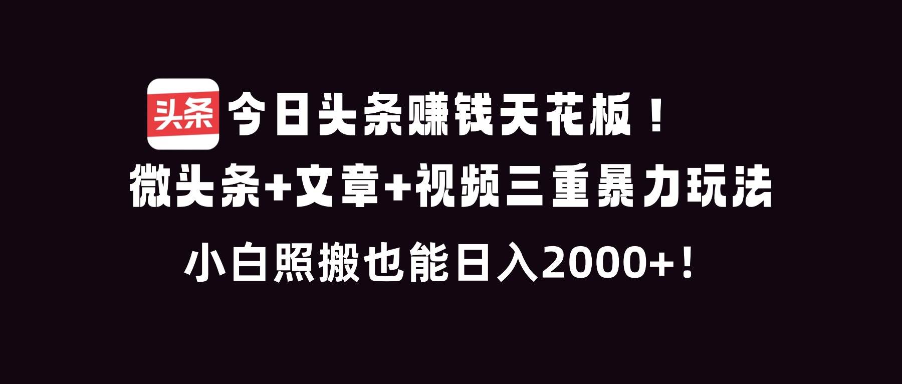 （16888期）今日头条赚钱天花板！微头条+文章+视频三重暴利玩法，小白照搬也能日人2000+